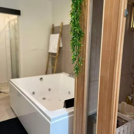 Apartman Un Ecrin De Zenitude By Lesparadis Metz
